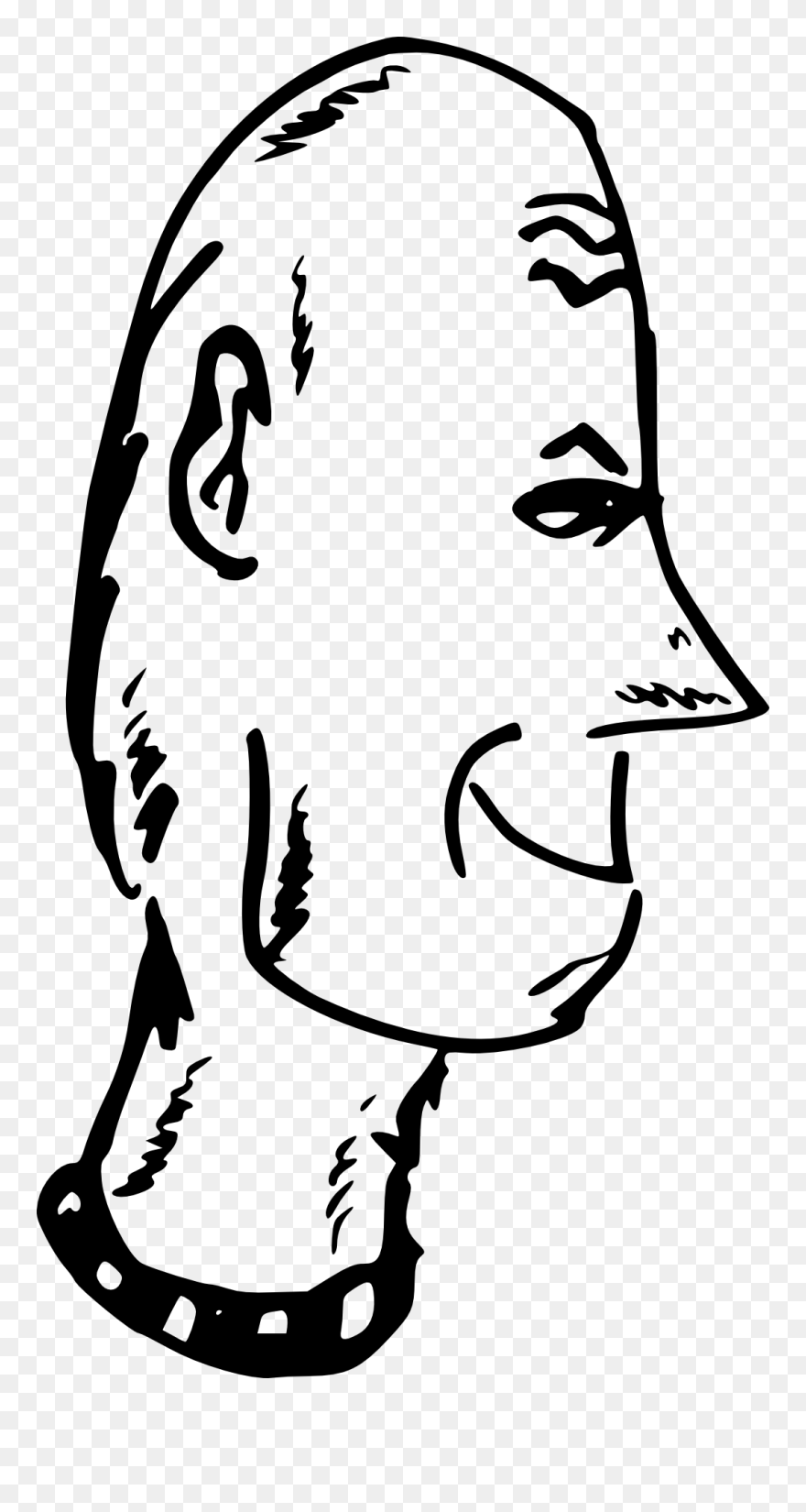 Hairless Head 2 Clip Art - Clip Art - Png Download