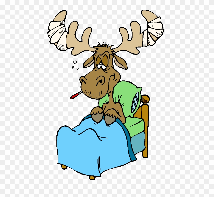 Moose Clipart Sick - Sick Moose Cartoon - Png Download
