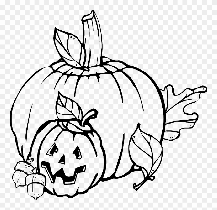 Png Black And White Library Plant Drawing At Getdrawings - Pumpkin Clip Art Transparent Png