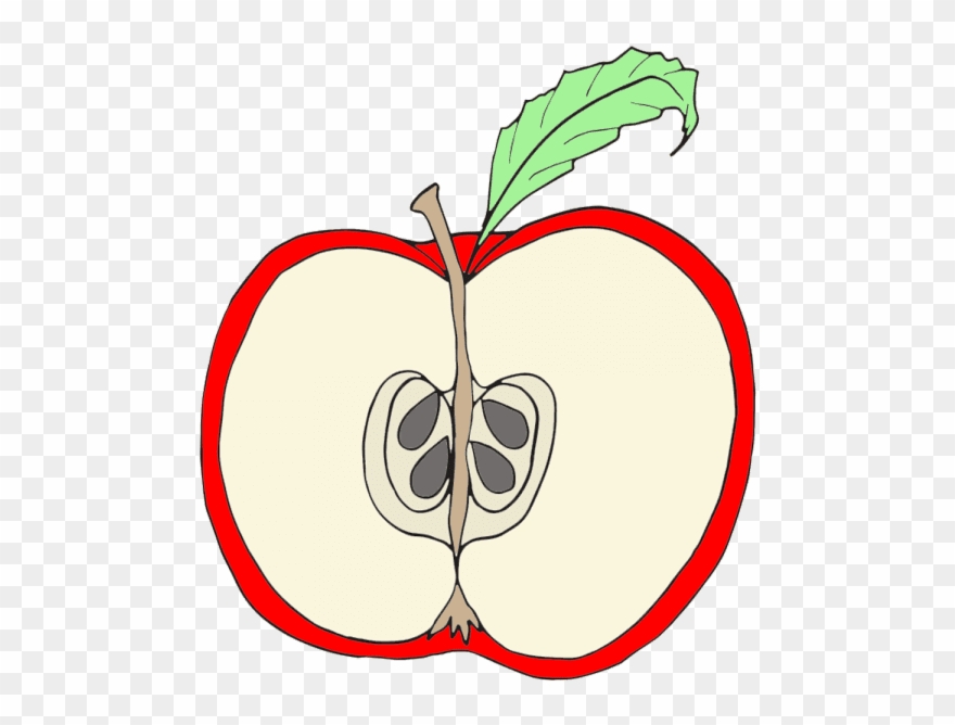 Parts Of An Apple Clipart - Png Download