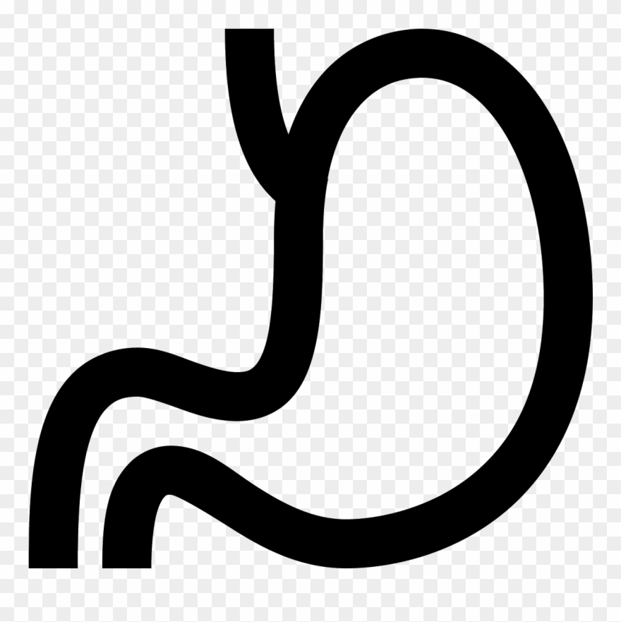 The Stomach Is Somewhat Shaped Like A Bag, Tapering - Stomach Icon Black Clipart