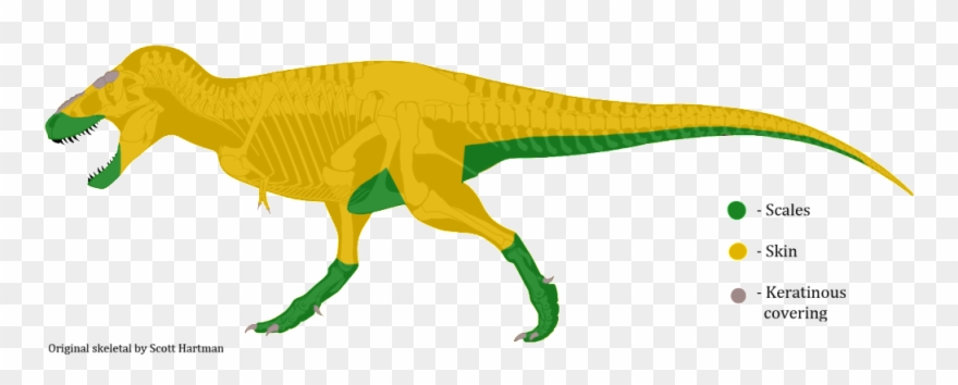 Some People Seemed To Think It Was Cool, But I Showed Clipart