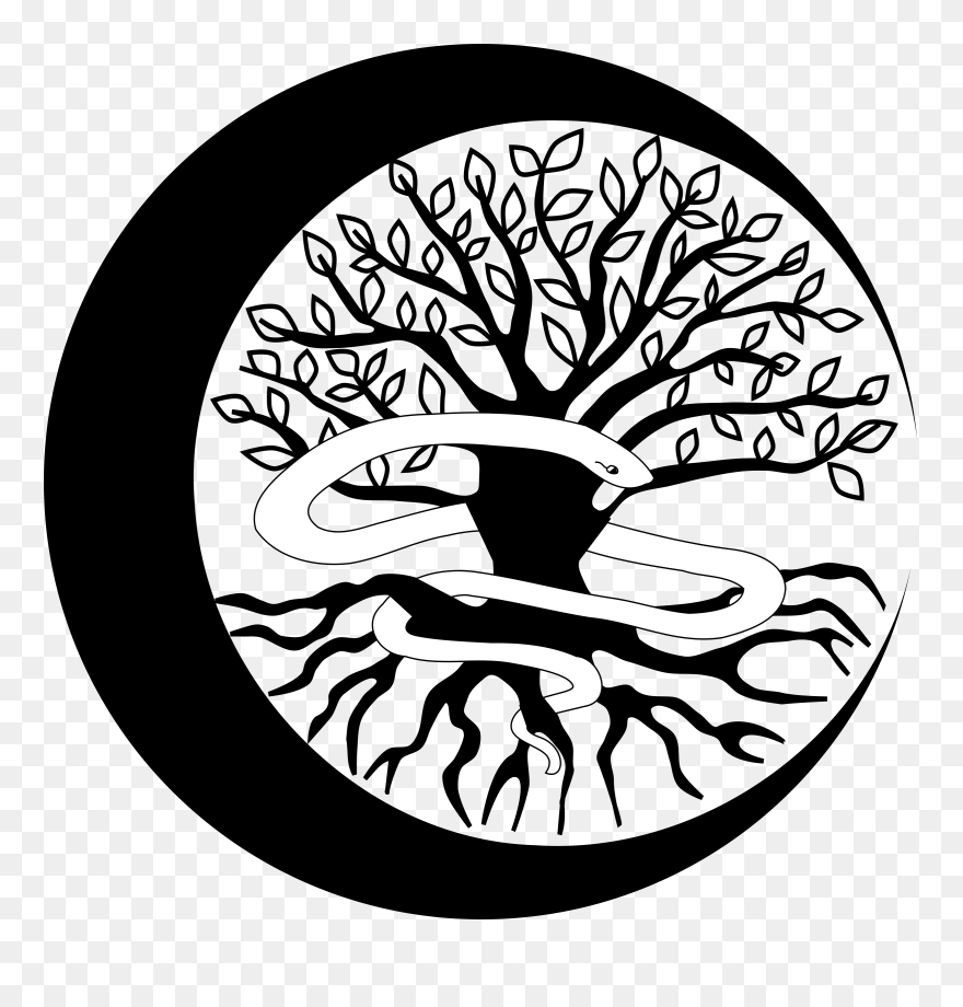 Medium Image - Clip Art - Png Download