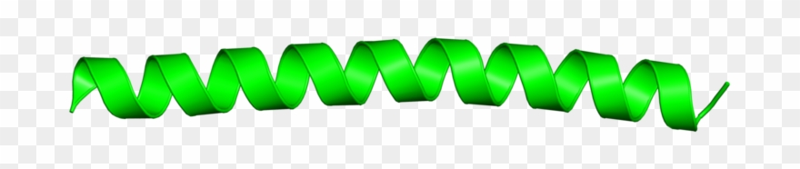 Clip Art - Png Download