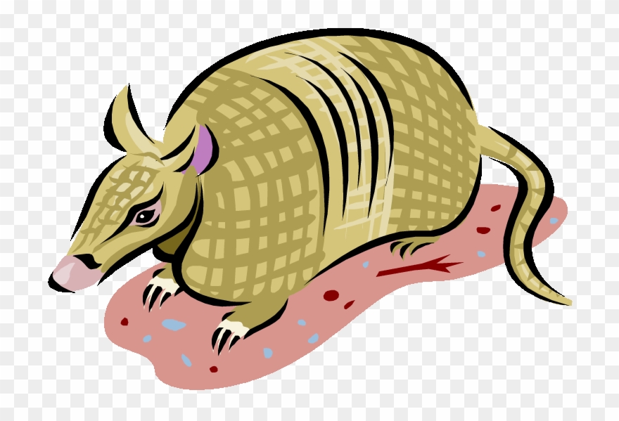 Armadillo Clipart - 9 Banded Armadillo Clipart - Png Download