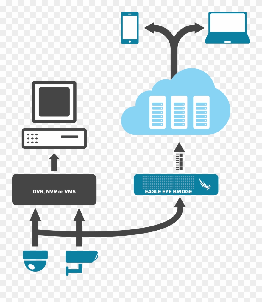 Eagle Eye Cloud Video Replication Clipart