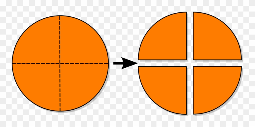 Picha - - Svg - Transparent Fraction Clipart - Png Download