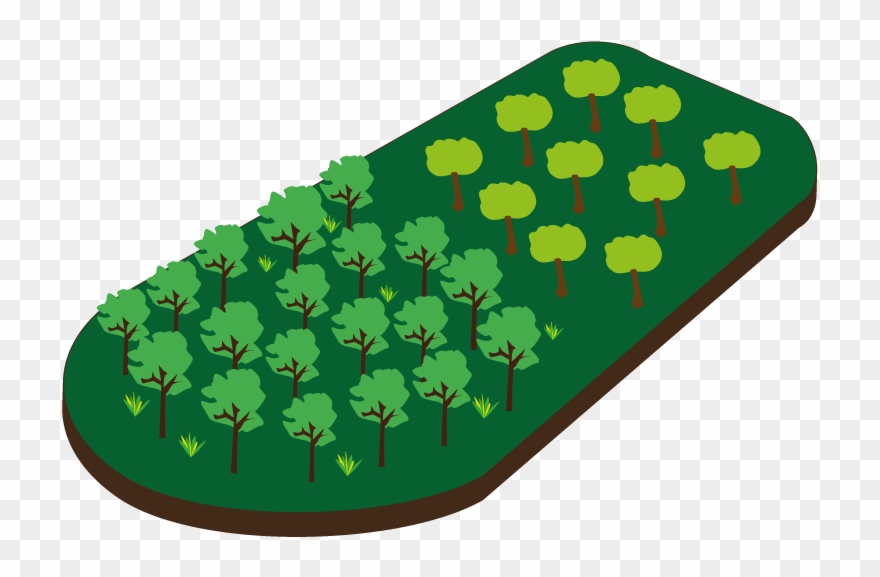 Thumb Image - Afforestation Png Clipart