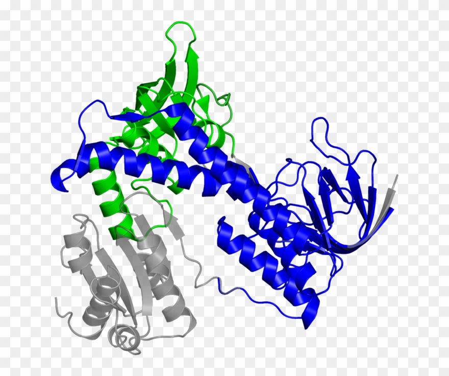<div Class='caption-body'>2 Copies Of Cath Domain - Graphic Design Clipart