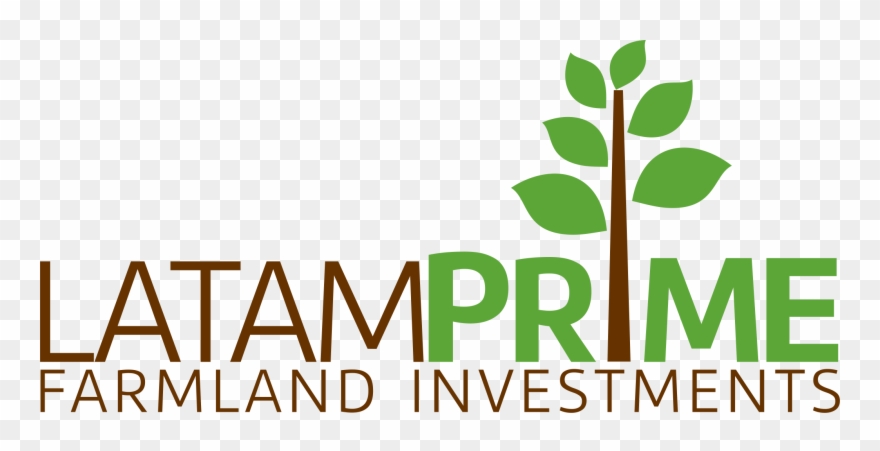 If - Latam Prime Farmland Investments Clipart