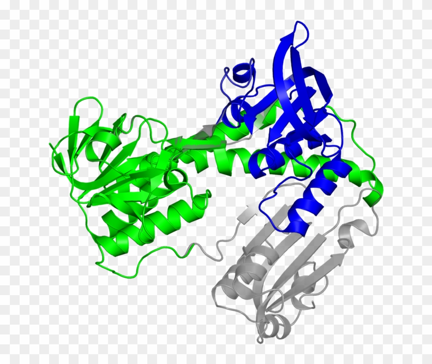 <div Class='caption-body'>2 Copies Of Cath Domain - Illustration Clipart