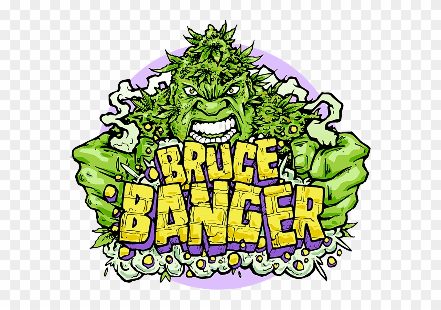 Seedsman's Very Own Bruce Banger Is Bred From An Original - Bruce Banger Clipart