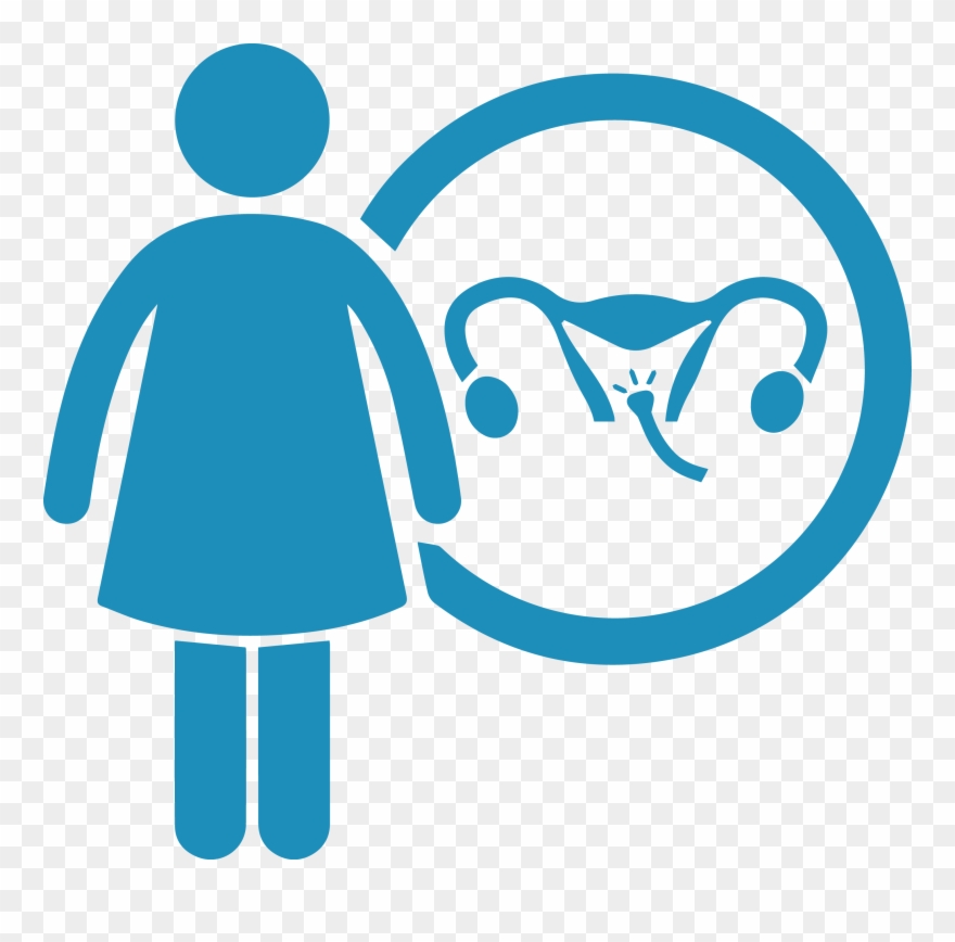 Panendoscopía Ginecológica - Women Reproductive Health Clipart