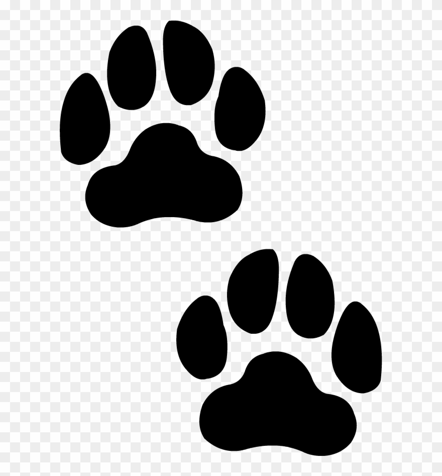 Dessin De Pattes De Chien Download Pattes De Chien Clipart 3 By Matthew - Paw - Png Download
