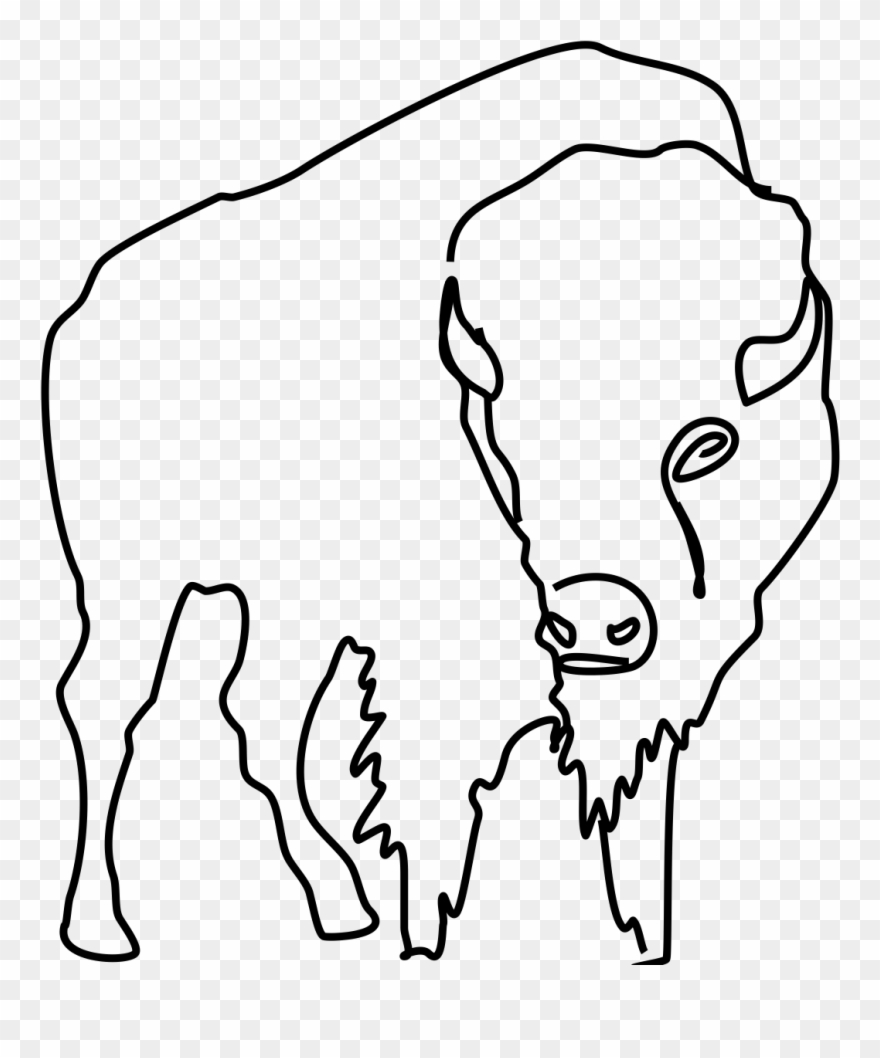 Get - Bison Line Drawing Clipart Png Transparent Png