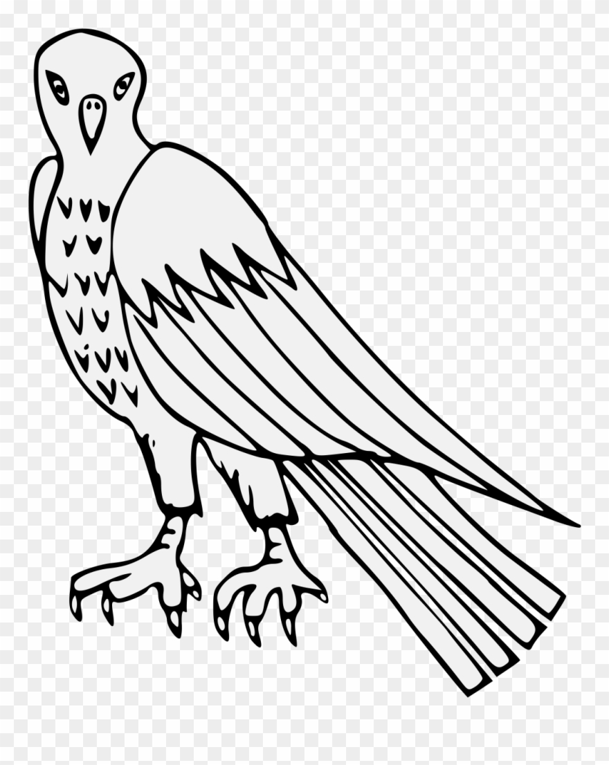 Pdf - Osprey Clipart