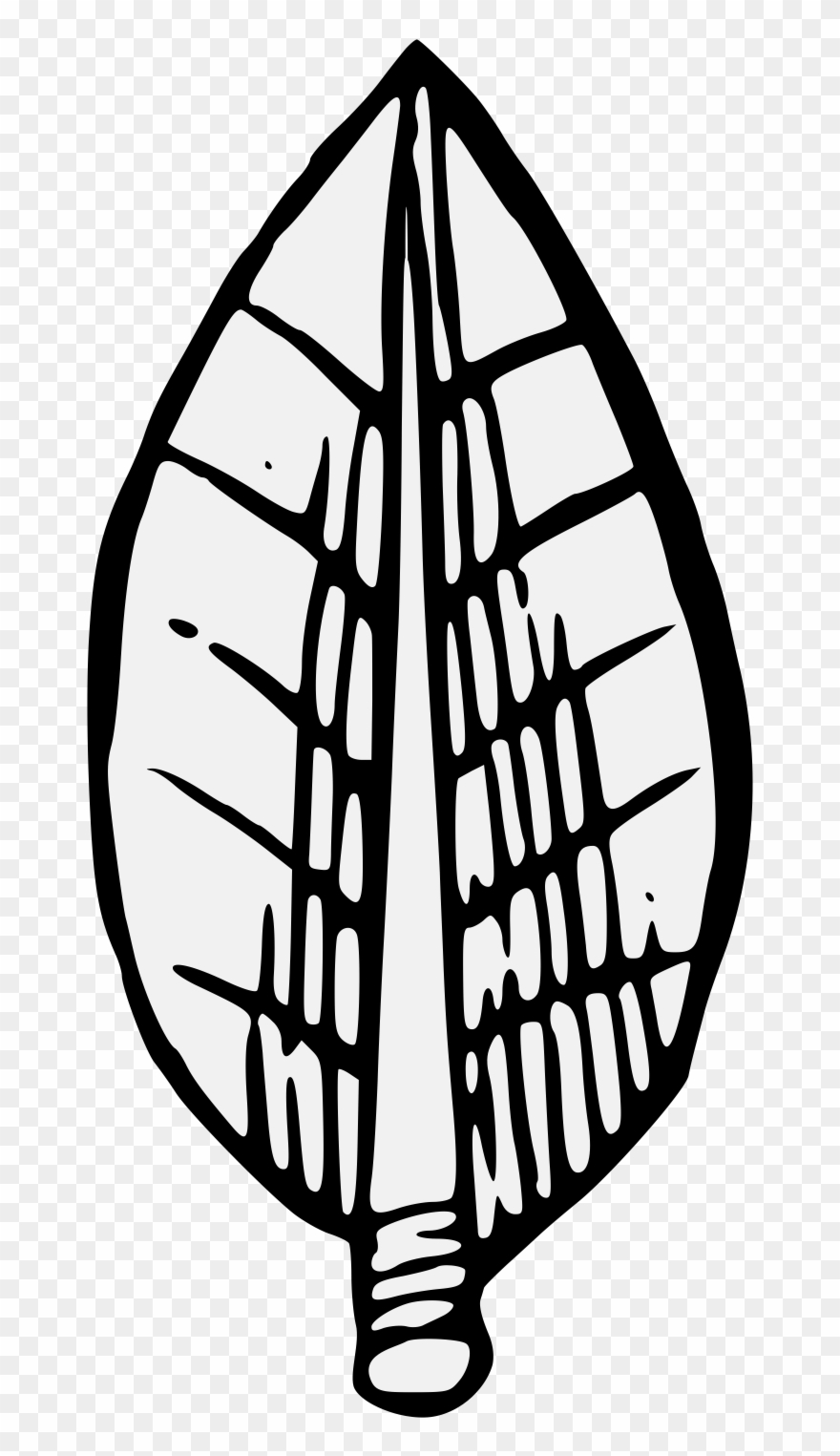 Pdf - Bay Laurel Clipart