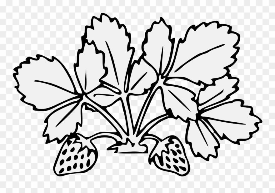 Pdf - Flower Clipart