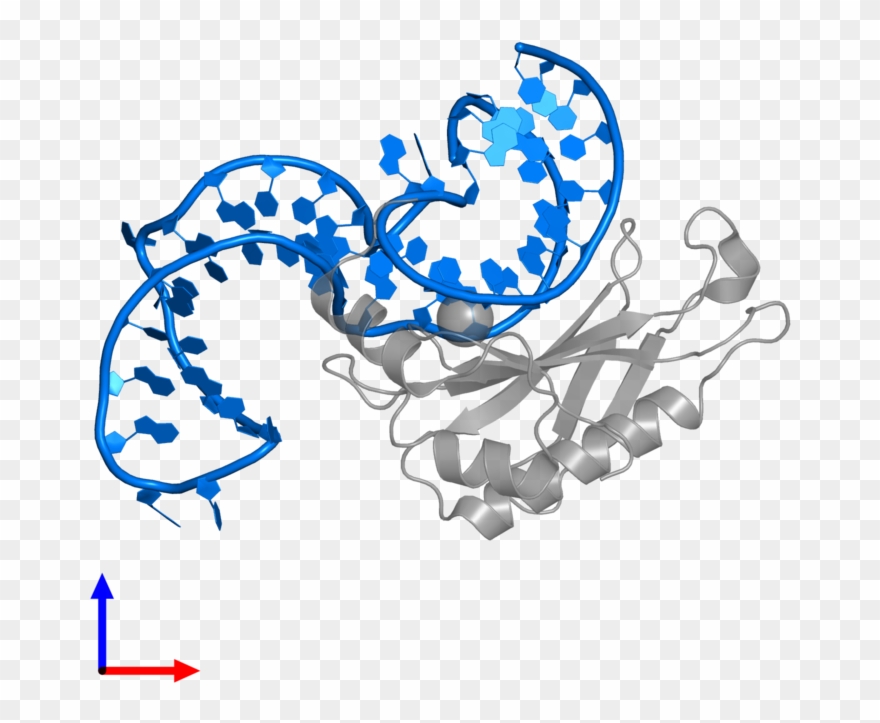 <div Class='caption-body'>pdb Entry 2vpl Contains 1 - Illustration Clipart