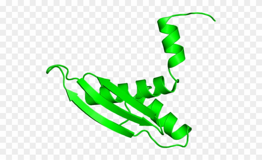 <div Class='caption-body'>1 Copy Of Cath Domain - Illustration Clipart