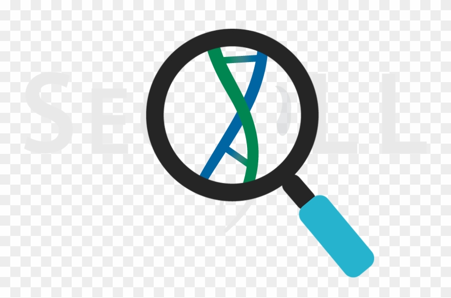Seqll Dna Rna Sequencing Au2l - Bilibili Clipart