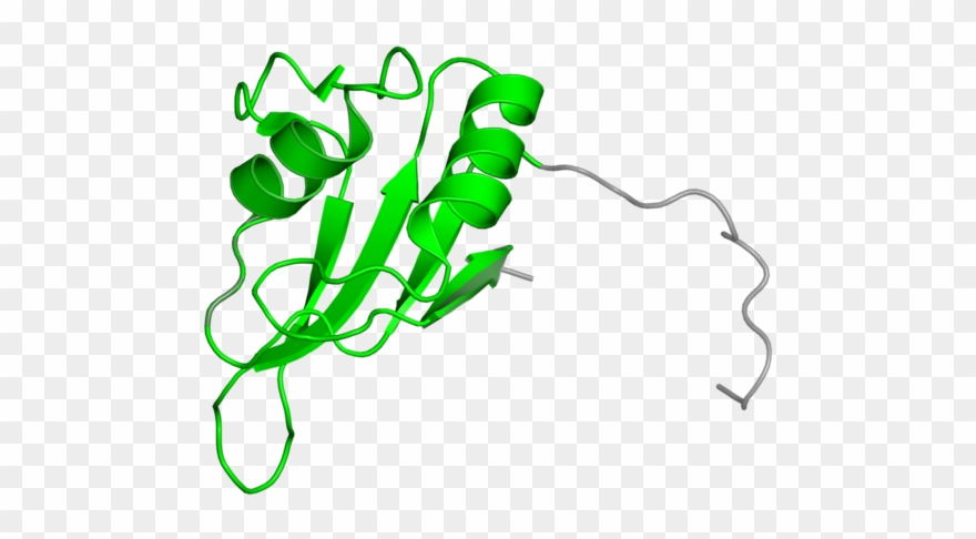 <div Class='caption-body'>1 Copy Of Cath Domain < Clipart