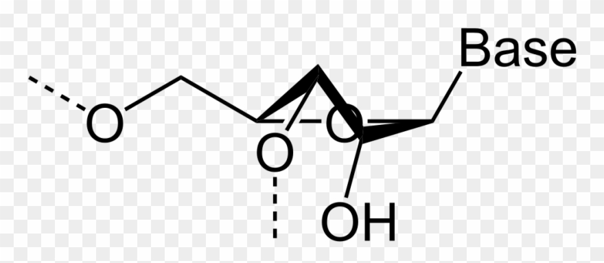 Open - Line Art Clipart