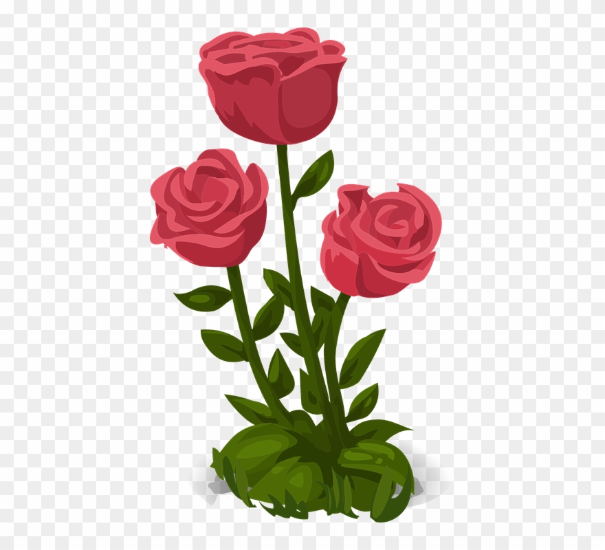 Pink Roses Clipart 13, Buy Clip Art - รูป ดอกไม้ กุหลาบ - Png Download