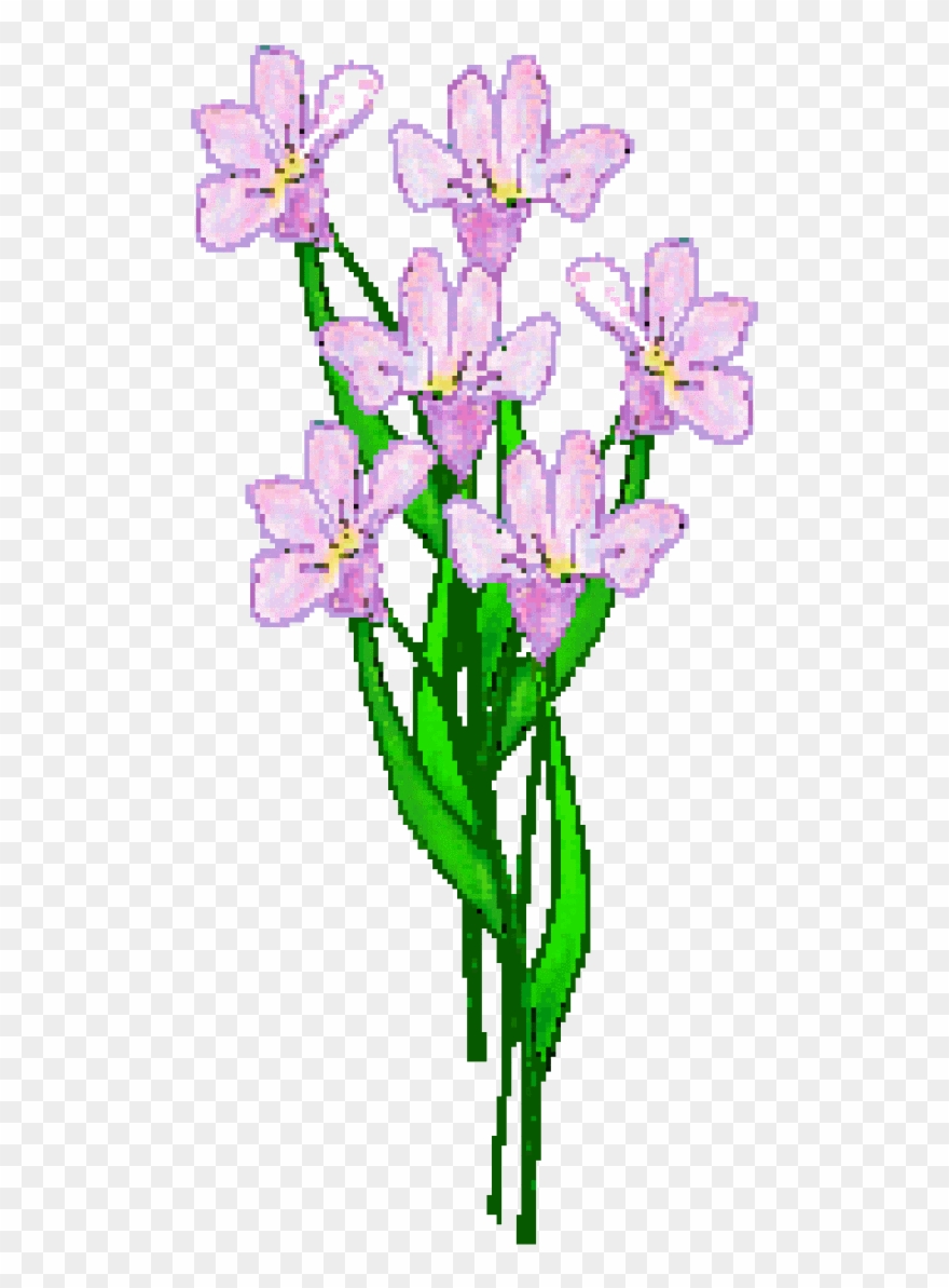 Lavender Flower Clip Art - Clip Art - Png Download