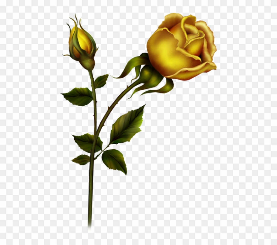 Bud Clipart Yellow Rose - Animatsiya - Png Download