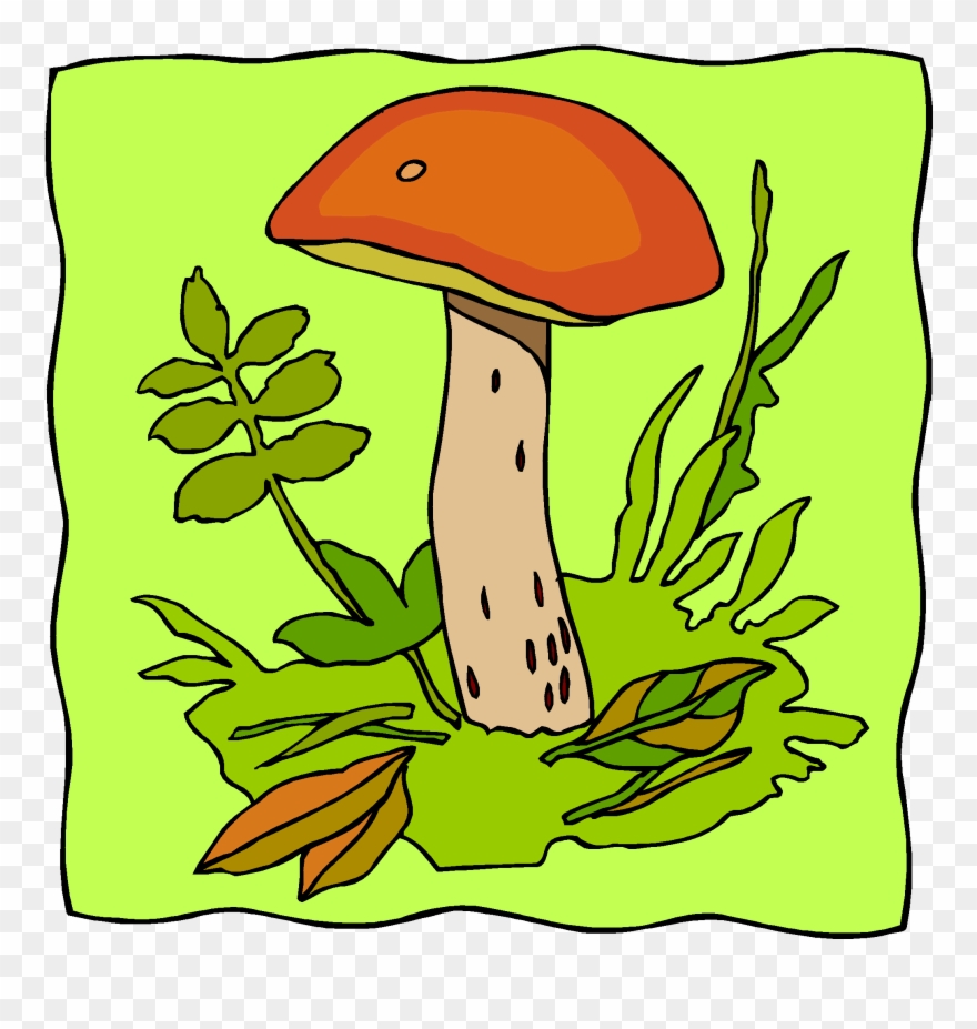Mushrooms, Fungi, Bacteria - Pathogen Clipart
