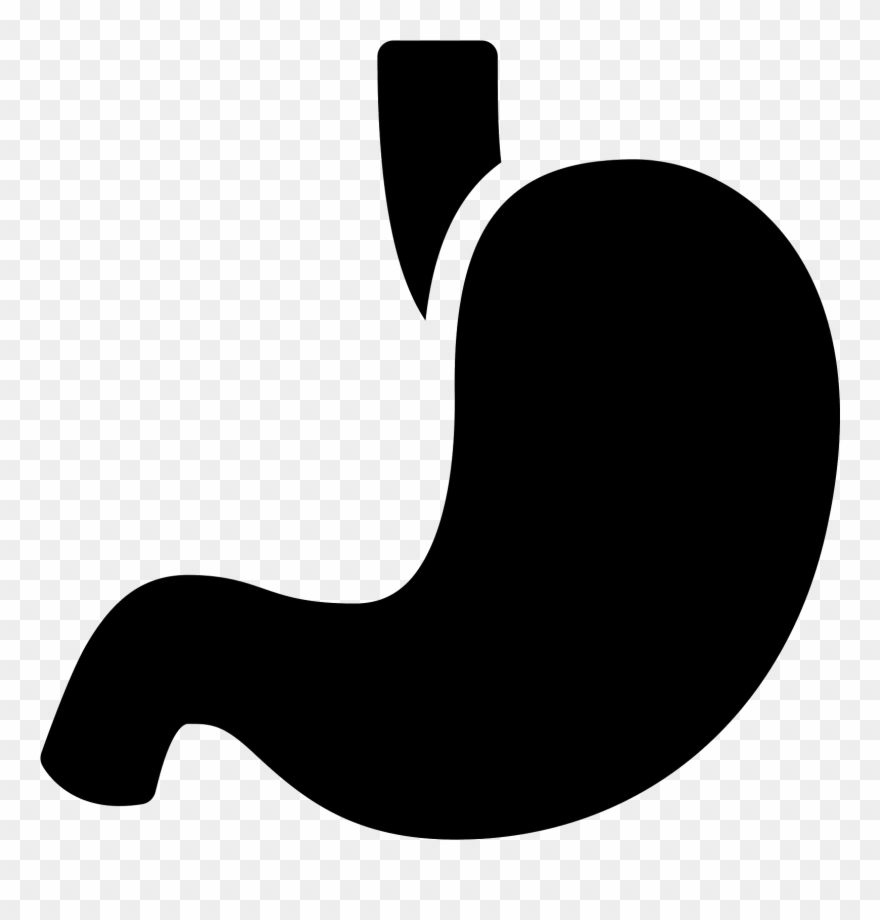 Stomach Filled Icon - Stomach Clipart