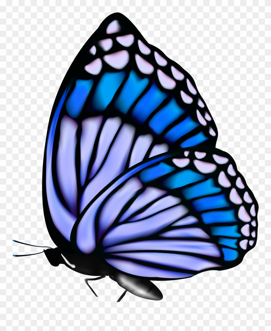 Butterflies Png Butterfly - Papilio Clipart