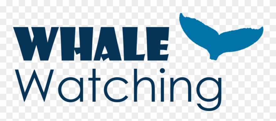 Information - Note Cards (pk Of 20) Clipart