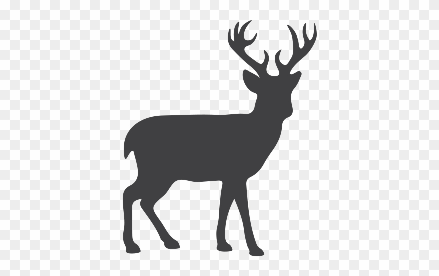 Reindeer Saddle Professional Secrets - Transparent Deer Silhouette Clipart