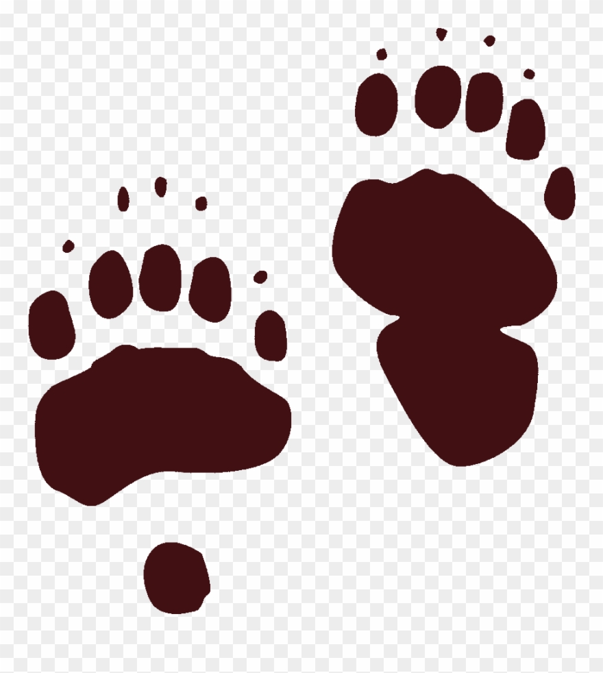 Black Bear Tracks Clipart American Black Bear Animal - Black Bear Tracks - Png Download