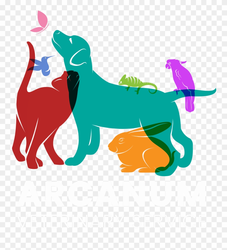 Arcanum Veterinary Service - Pet Clipart
