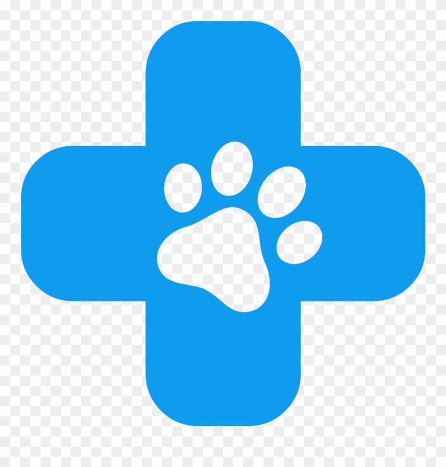 Compensation & Benefits - Aloe Vera Clipart