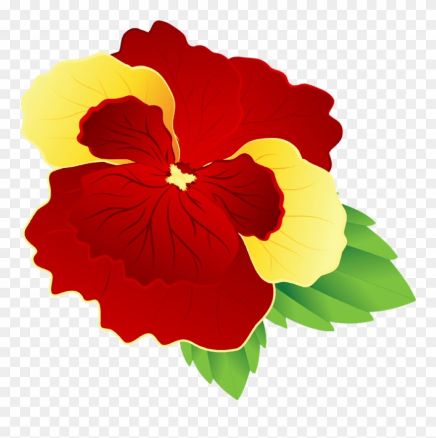 Free Png Red And Yellow Pansy Png Images Transparent - Red And Yellow Flower Png Clipart