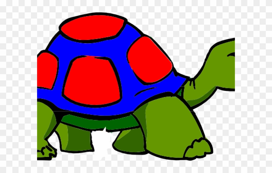 Turtle Clipart Png Transparent Png