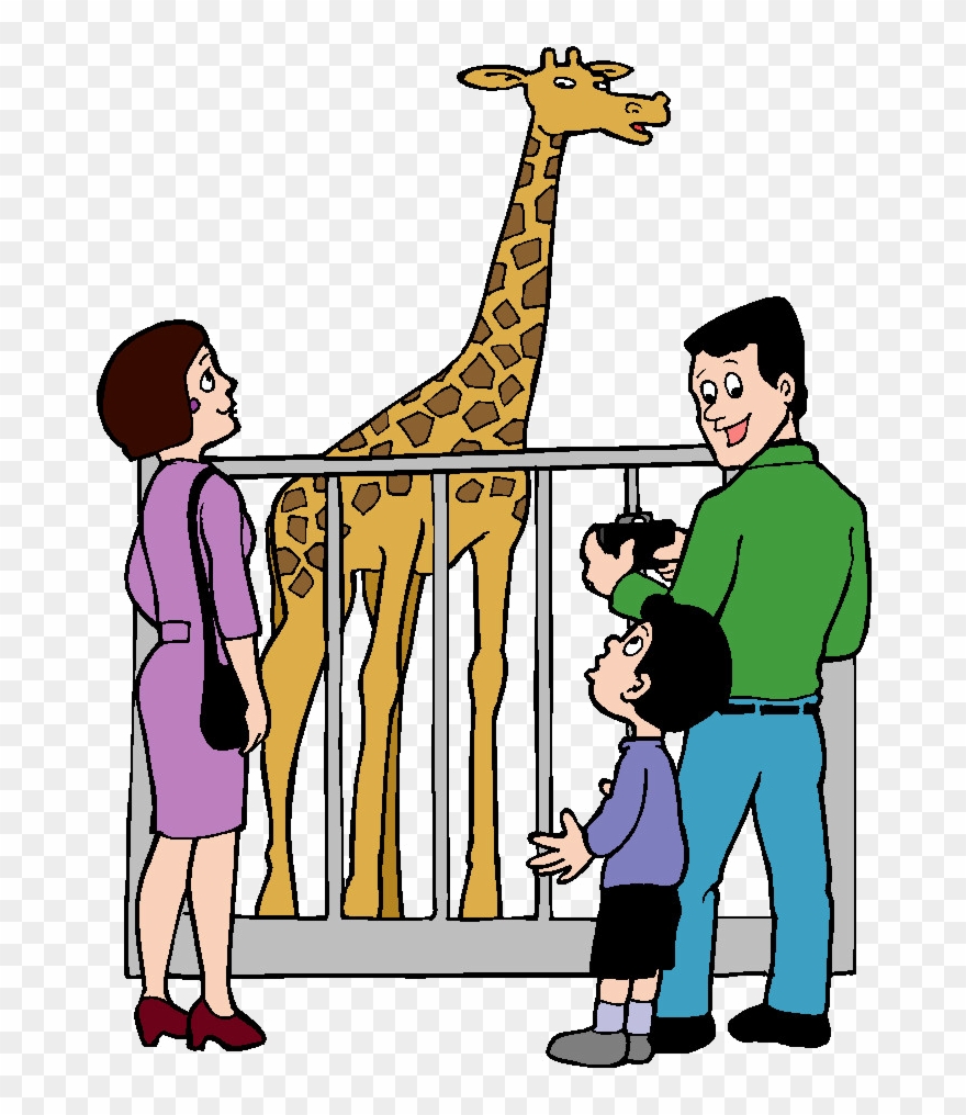 2014 03 09 - Giraffe In The Zoo Clipart - Png Download