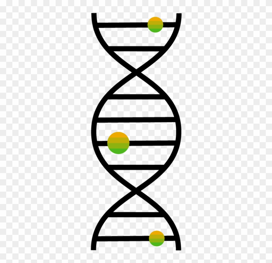 19 Jan - Dna Clipart