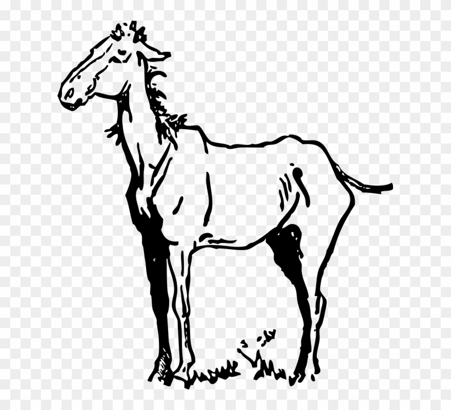 Stick Figure Horse 8, Buy Clip Art - Horse Clip Art - Png Download