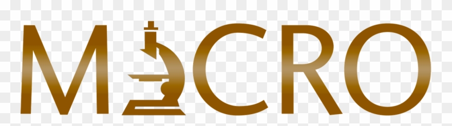 Certified Myrtle Beach Mold Contractors And Inspectors - Environmental Remediation Clipart