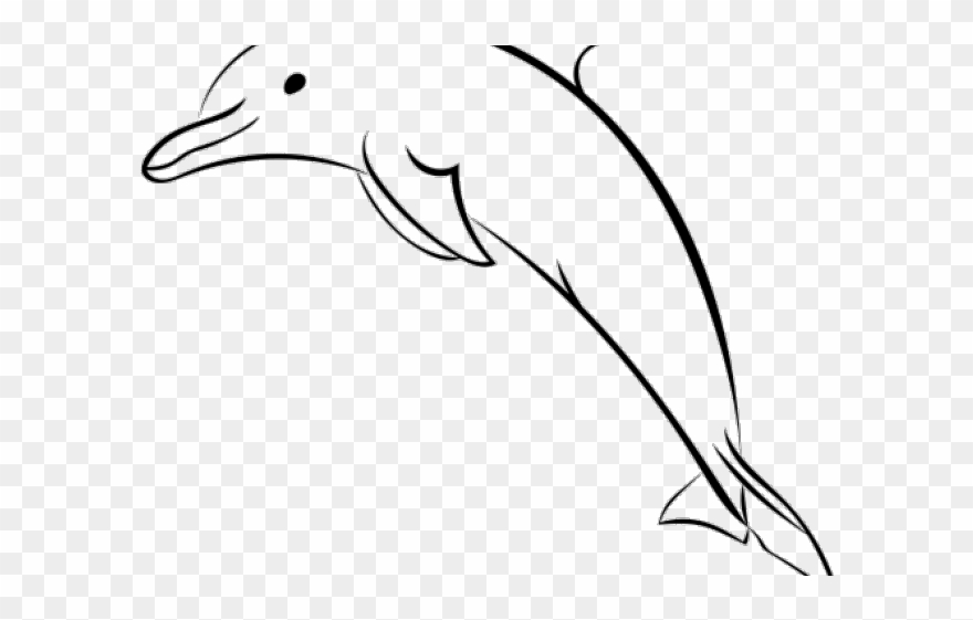 Spinner Dolphin Clipart Dolphin Head - Drawing - Png Download