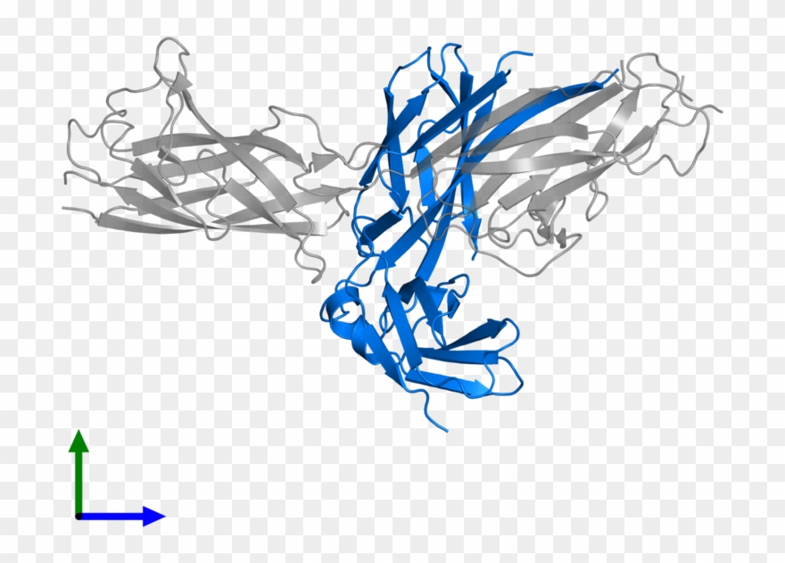 <div Class='caption-body'>pdb Entry 3dsn Contains 1 - Illustration Clipart
