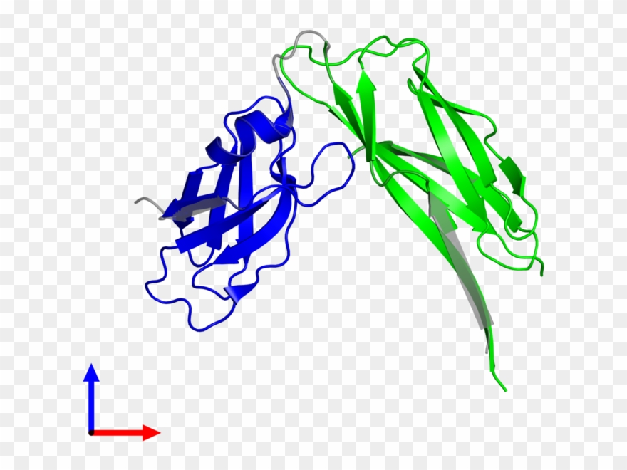 <div Class='caption-body'>2 Copies Of Cath Domain < - Illustration Clipart