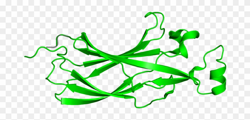 Graphic Design Clipart