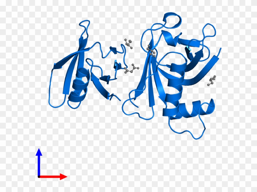 <div Class='caption-body'>pdb Entry 3fss Contains 1 - Calligraphy Clipart