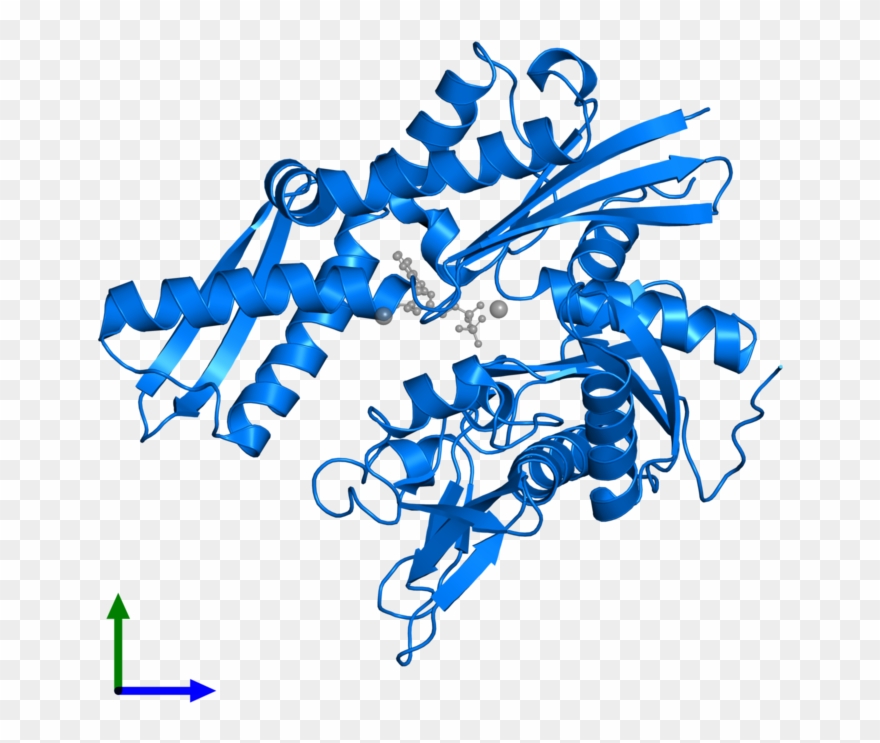 <div Class='caption-body'>pdb Entry 3iuc Contains 1 - Hsp70 Clipart